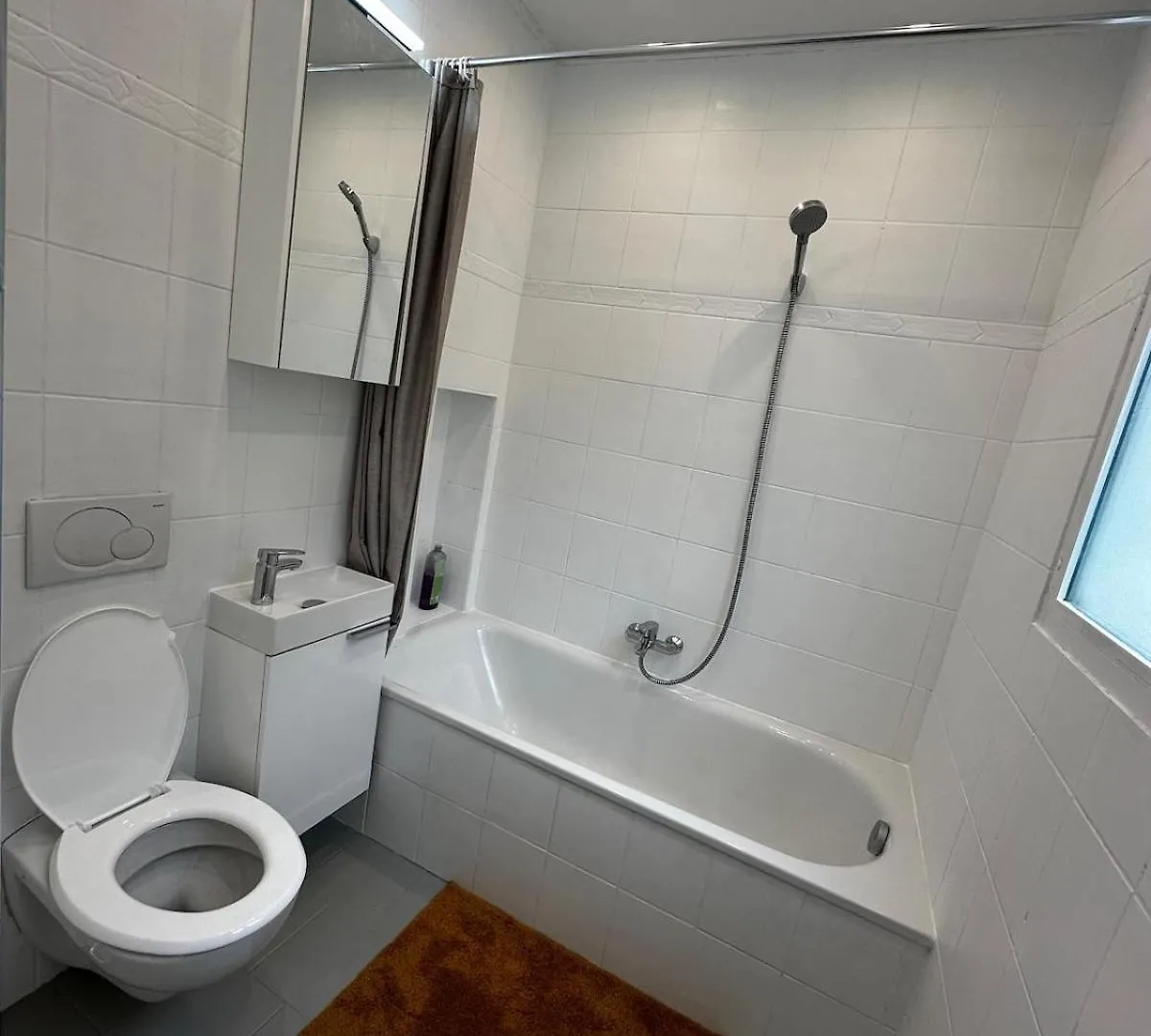 Apartment Stylish In Sankt Johann Near Novartis With Sauna Basel